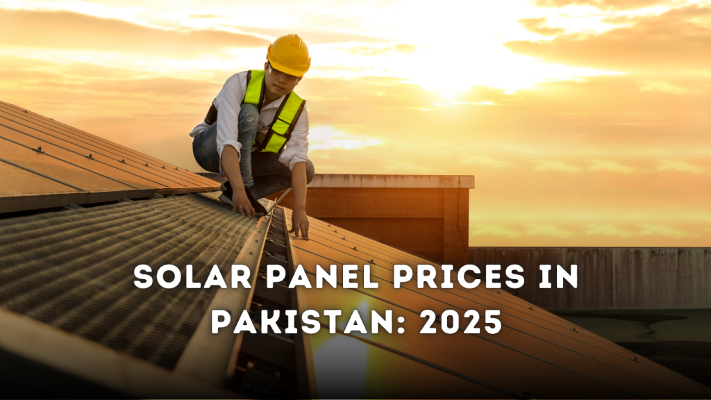 Solar Panel Prices in Pakistan: Updated Prices Of 2025